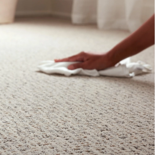 Carpet Daily Care | Floor Max